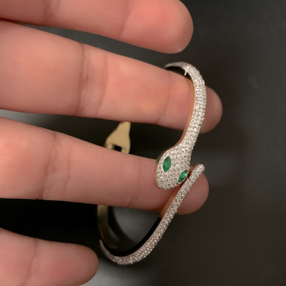 Snake bracelet